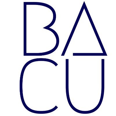 BacuWebservice's profile picture. Tu página web, simple, rápido y funcional.