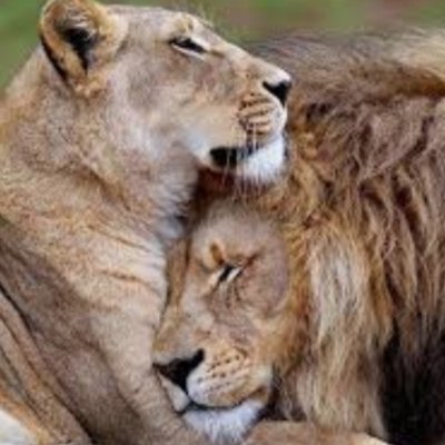 WtightP's profile picture. Sailing/travelling ' haribo'ly engaged' 
Beleave in the unbeleavable ' Accept the Lord 🙏🏿