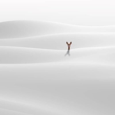 (واجعلني مِن وَرَثَةِ جَنَّةِ النعيم) | 🌊