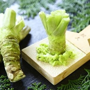 moja_xrp's profile picture. xrp