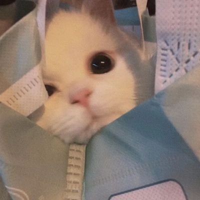 XUVoNwzVTNce7Zj's profile picture. 喜欢唱，跳，Rap和篮球