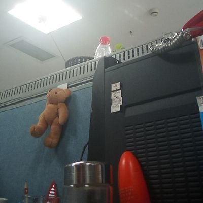 Birdtest2We's profile picture. 