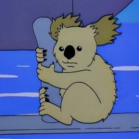 Koala Phd (@ninokoala) 's Twitter Profile Photo Koala Phd (@ninokoala) 's Twitter Profile Photo