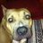 Crowsnest531's profile image