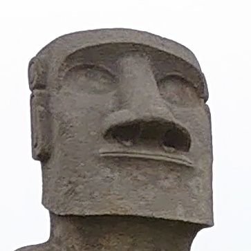 nuuta0812's profile picture. 人間やってます