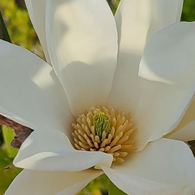 tukihana33's profile picture. 