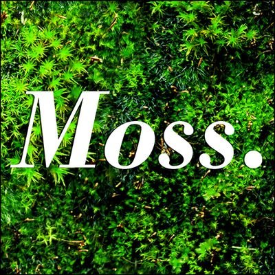 mosslitmag Profile Picture