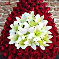 M.K RANA (@mkrana69798906) 's Twitter Profile