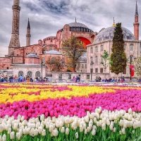 Manu (@manu67544834) 's Twitter Profile