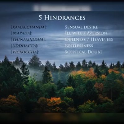 TrevorW79137575's profile picture. Celibate, survivor, empathic, non-feminist, going my own way. Interested in science, math, the environment, writing, psychology, and high performance states.