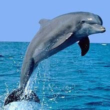 GBcdyjn's profile picture. เดินดง