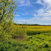 Sidre (@sidre1611) Twitter profile photo