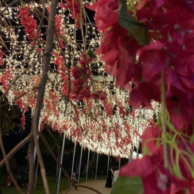 112Azoz112's profile picture. 🤚🏻اكثرو من الاستغفار♥️