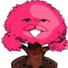 admin @morisawahusband
I'm the confession tree of the Kamone academy!!!
