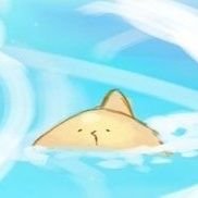 🦈 켓さんのプロフィール画像