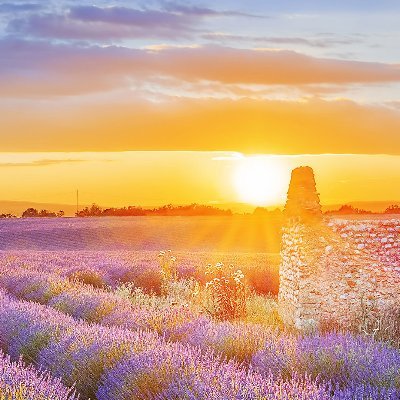 Adem_Tutar's profile picture. 