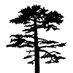 PINE Maastricht (@pinemaastricht) Twitter profile photo PINE Maastricht (@pinemaastricht) Twitter profile photo