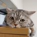 ããŸäŸ (ã¹ãã«åãæ¥èšã®äºº) (@mills_ultima) Twitter profile photo ããŸäŸ (ã¹ãã«åãæ¥èšã®äºº) (@mills_ultima) Twitter profile photo