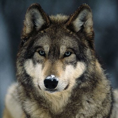 FunWayM's profile picture. 