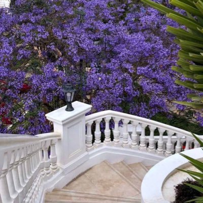 سبحان الله وبحمده 🕊..