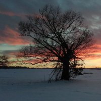 PawełFi (@pecik0) 's Twitter Profile