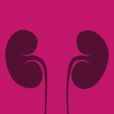 Kidney and Dialysis Profile