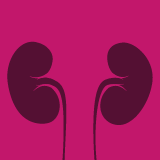 Kidney and Dialysis(@Kidneydial_MDPI) 's Twitter Profile Photo