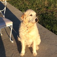 Cracklytoes (@johnwold20) 's Twitter Profile