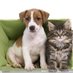 LostPetsVienna (@lostpetsvienna) Twitter profile photo LostPetsVienna (@lostpetsvienna) Twitter profile photo