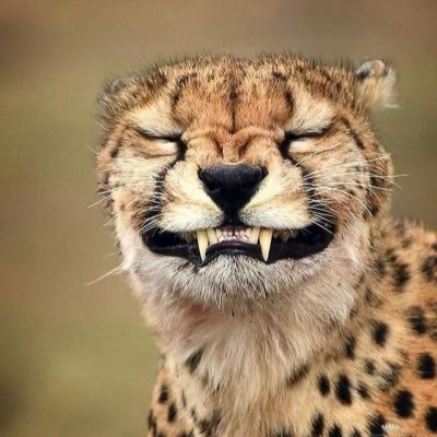 ゲームが趣味な社会人