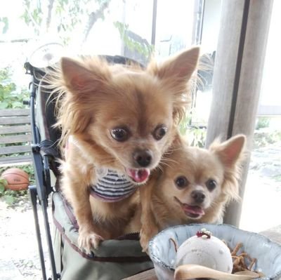 AAFnXfUAaXBYSf8's profile picture. 