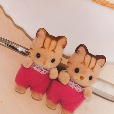 らこさんのプロフィール画像