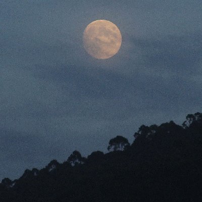 mimadria1's profile picture. pami