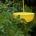 Aphid Monitoring in Northern Ireland (@aphidireland) Twitter profile photo Aphid Monitoring in Northern Ireland (@aphidireland) Twitter profile photo