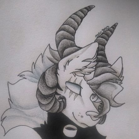 foxineさんのプロフィール画像