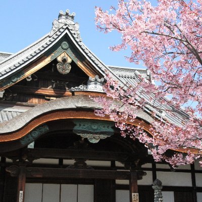 京都の浄土宗大本山 清浄華院(しょうじょうけいん)の公式アカウントです。
インスタグラム https://t.co/UmVC26TDH9