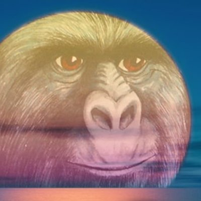 EverApeToken's profile picture. EverApe | $EverApe Token
Fair Launch, ETHEREUM / ERC20!
No Dev Tokens.
Telegram: @EverApe

Launched by @FairLaunchCalls