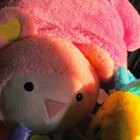 わじま (@_nama_ta) Twitter profile photo