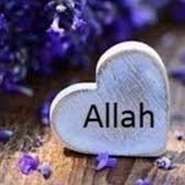 hoorainmehmood's profile picture. Always loved Allah