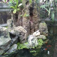 Peg Hollywell (@hollywellpeg) Twitter profile photo
