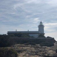 Berta Paz Lourido (@louridopaz) 's Twitter Profile