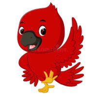 SCECardinals (@scecardinals) 's Twitter Profile
