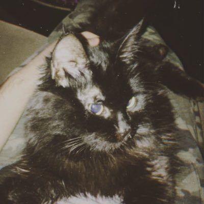 carminedmorgan's profile picture. Double Pistols up