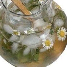 semeistvo_psov's profile picture. на связи рисовака