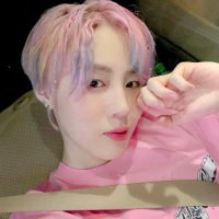 лу ♡ (@woonslu) 's Twitter Profile