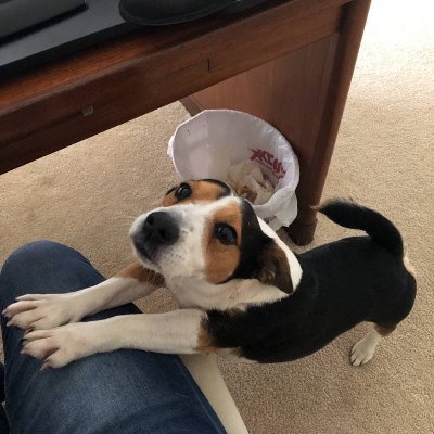 kenshiro241286's profile picture. Provinciano de formación Cristiana, Científica y Patriota Comparto mucho con lo Conservador. AHORA EN LA PLATAFORMA LIBRE: GETTR- @KENSHIRO24