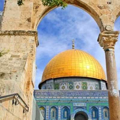 Rxlli77's profile picture. 