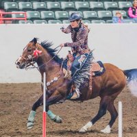 Carrie Howell Wilburn(@cowgirl_shooter) 's Twitter Profile Photo