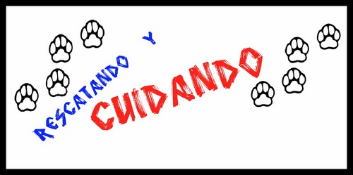 RescatandoyCuid's profile picture. Preocupados por educar a la gente y no caer en el maltrato animal ni ensuciar al planeta Tierra,no somos A.C. pero si un movimiento que puede convertirse en A.C