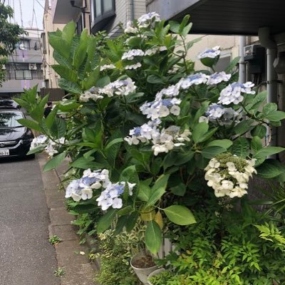 L9Ich's profile picture. 法曹資格者の端くれ。経済思想は、リフレ派経済政策(経済史からリフレ派の正しさを証明したい)。政治思想は、リアリスト、戦略論を重視する考え。自分では、公平な論点の切り分けが上手いと思っている。対決より解決、反対なら対案、緊縮より成長、極論より中庸、分断より統合。